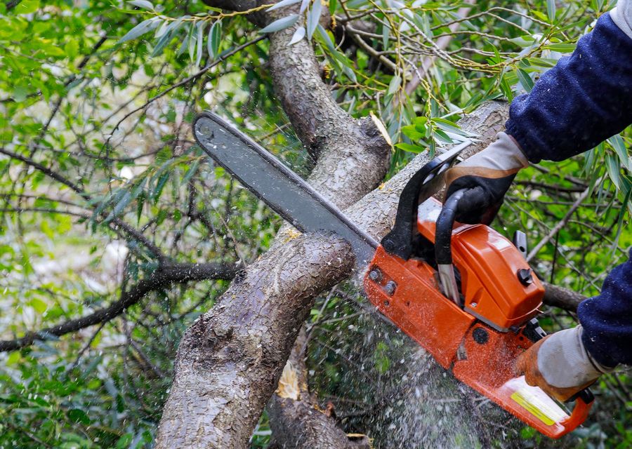 Tree removal work by Sunshade Tree Care LLC. in Cedar Park, TX