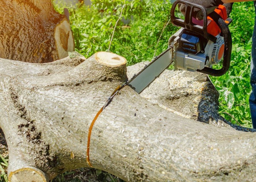 Tree removal work by De La Rosa Tree Service LLC in Salem, PA