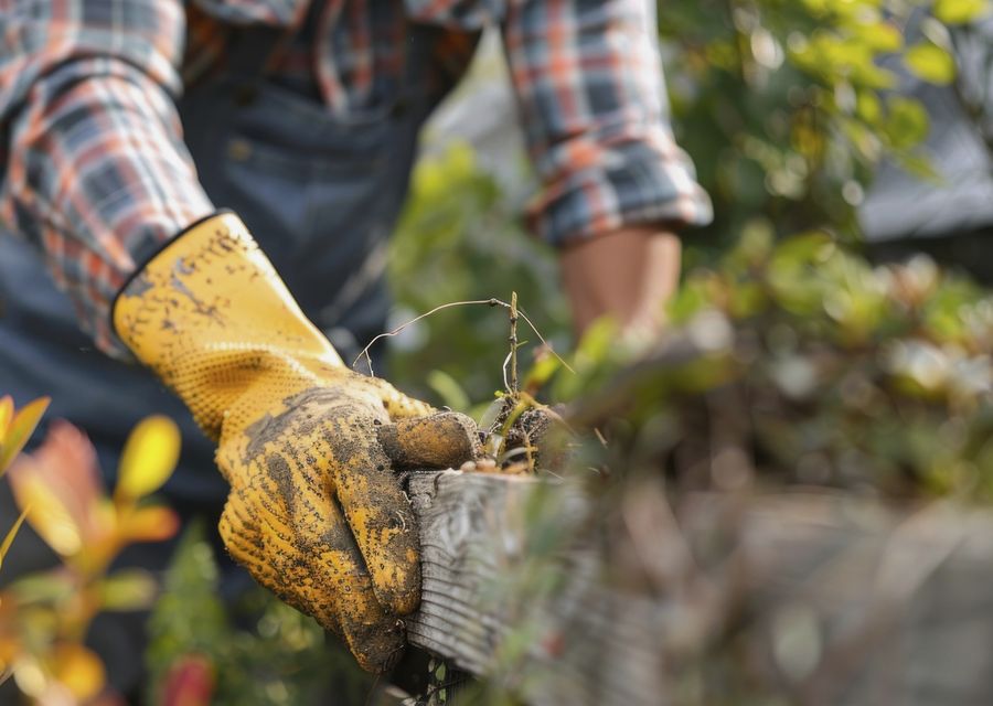 Tree removal work by Knockout Tree Services LLC in Portage, PA