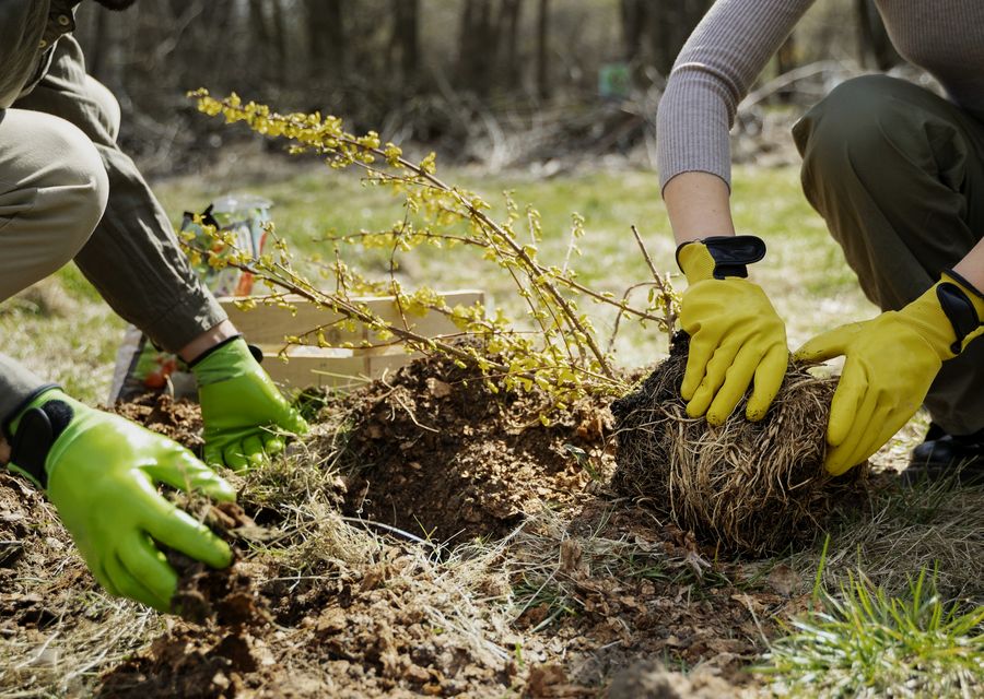 Tree removal work by Tree Service & Lawn Care in Homewood, IL