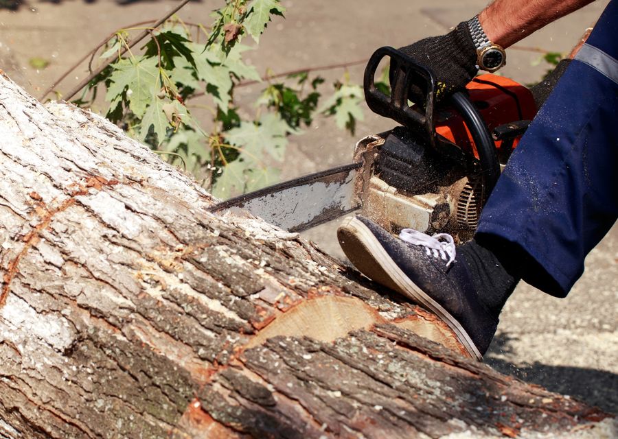 Tree removal work by Tree Service Long Island in Flossmoor, IL