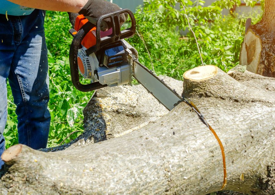 Tree removal work by Massapequa Tree Service in Mt Prospect, IL