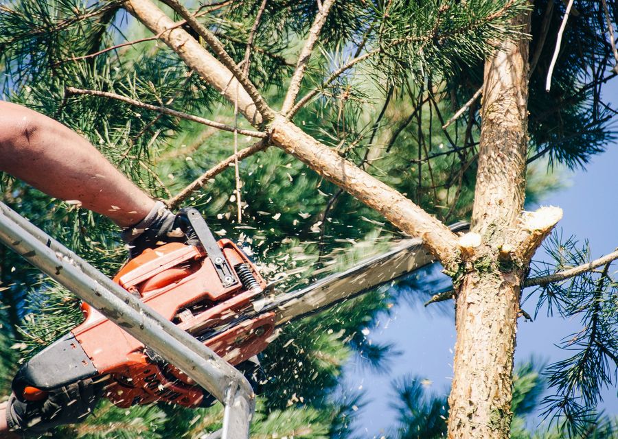 Tree removal work by Integrity Tree Care in Snellville, GA