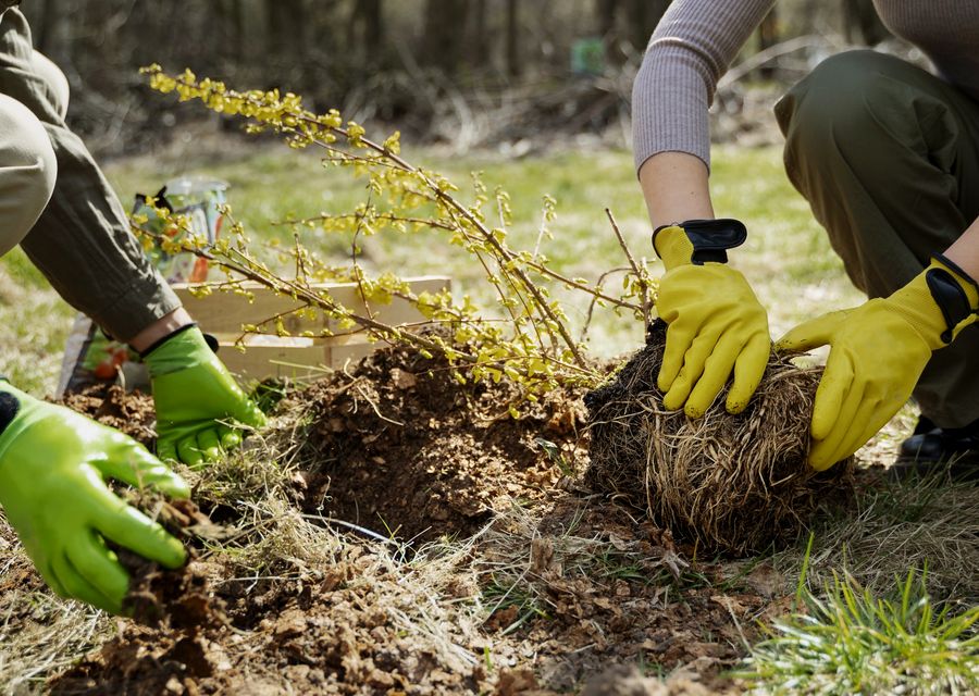 Tree removal work by Smart Tree Service LLC in Mt Pleasant, PA