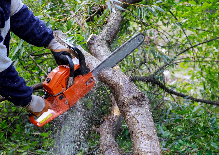 Tree removal work by Best Tree Experts in Pequea, PA
