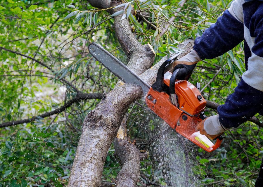 Tree removal work by Native Tree Service in Johnstown, PA