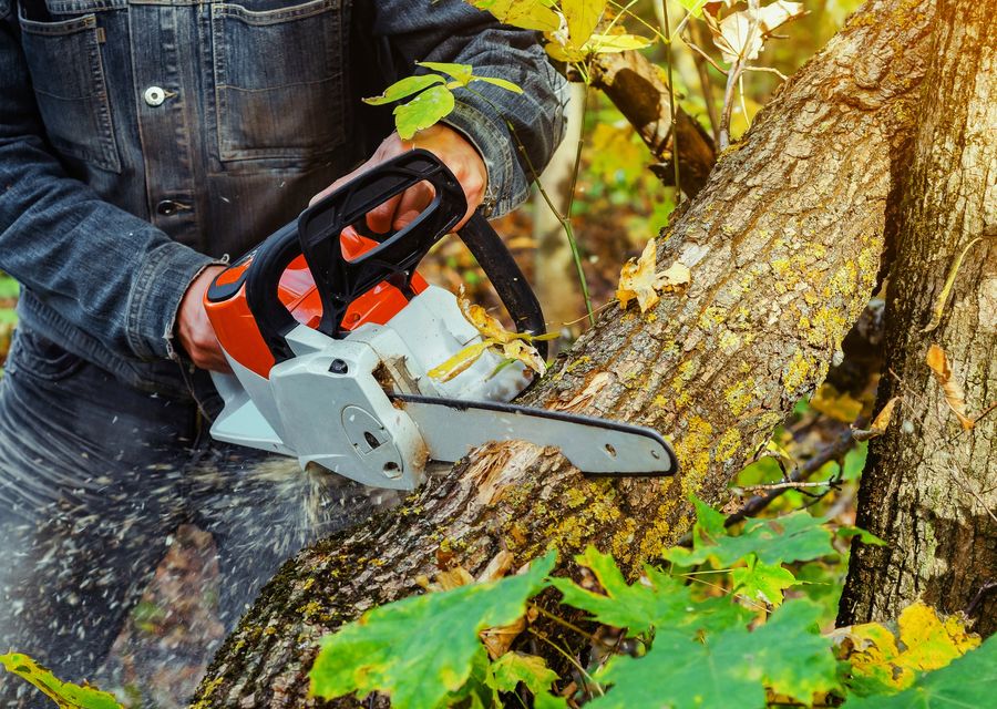 Tree removal work by Tree Pros, Inc in Derby, VT