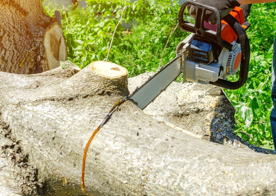 Tree removal work by C & J Bros Landscaping in Orlando, FL