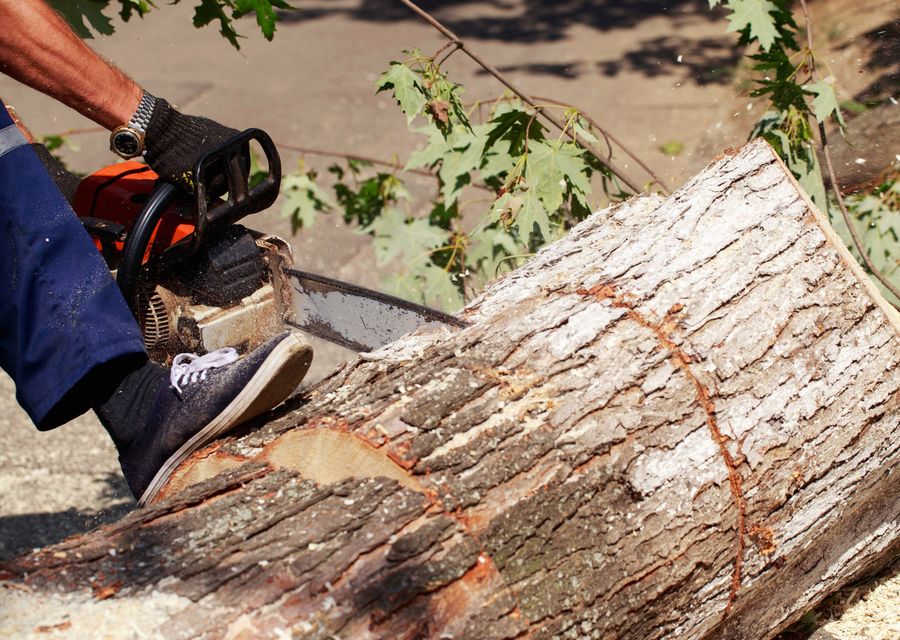 Tree removal work by Jaguar Tree Service LLC in Pisgah Forest, NC