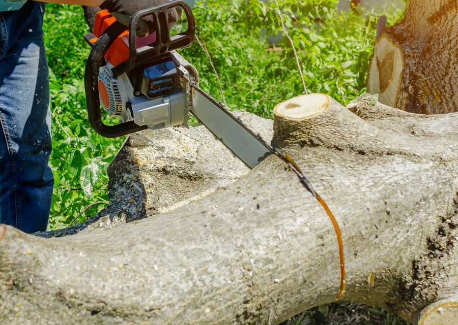 Tree removal work by Aabraham Professional Tree Services in Croyle, PA
