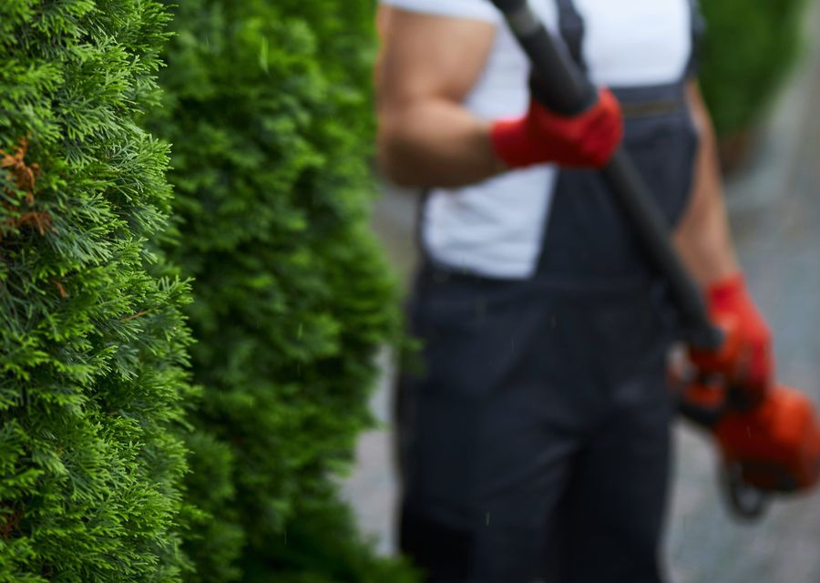 Tree removal work by Randall Brothers Tree Service in Palos Heights, IL