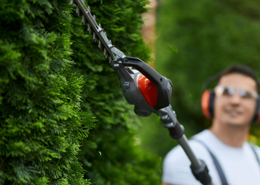 Tree removal work by Marbin's Tree & Landscape Service INC in Joliet, IL