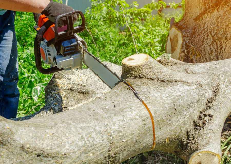 Tree removal work by Nature Tree Service in Portsmouth, NH