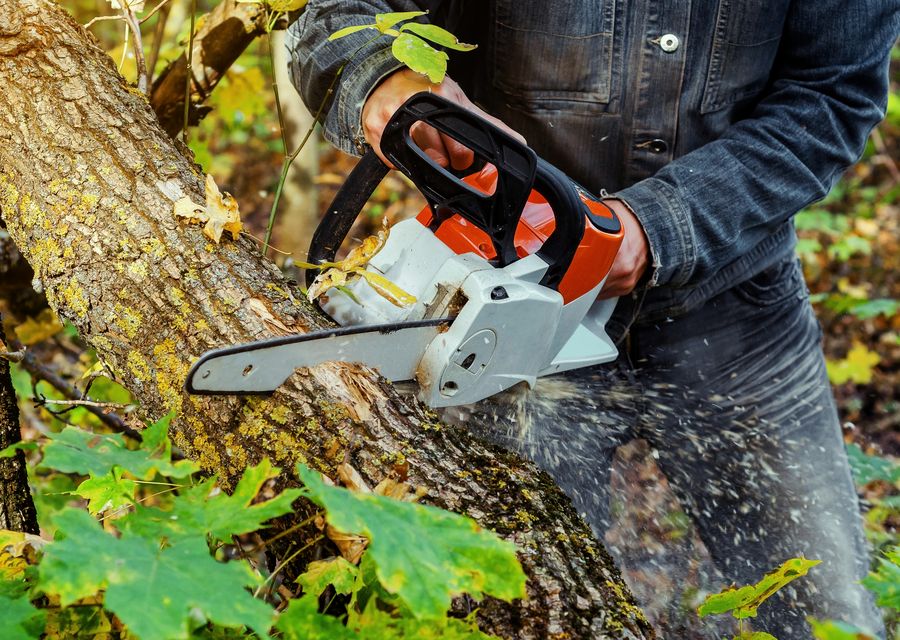 Tree removal work by Master Tree Services Inc in Bolingbrook, IL