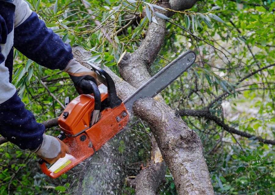 Tree removal work by Brother Tree Service in West Newton, PA