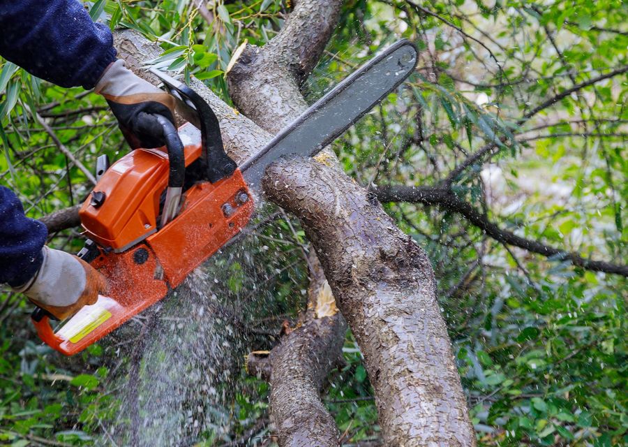 Tree removal work by Tree Patrol Tree Service in Perryopolis, PA
