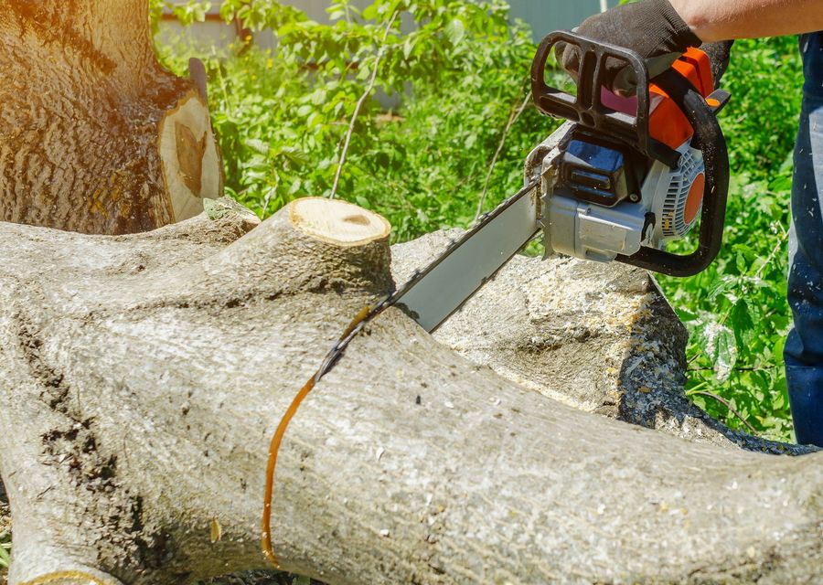 Tree removal work by Suffolk Tree Services Ltd in Robbins, IL