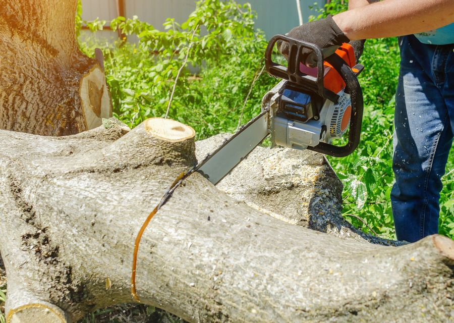 Tree removal work by Guardian Tree Solutions in Hatfield, PA