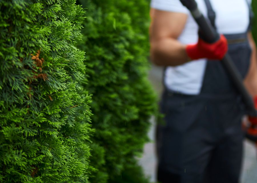 Tree removal work by Sunrise Tree Service in Leander, TX