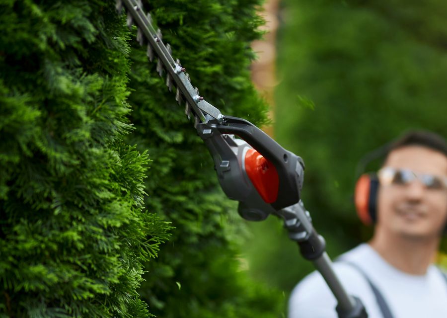 Tree removal work by T&T Tree Services in Upper Merion, PA