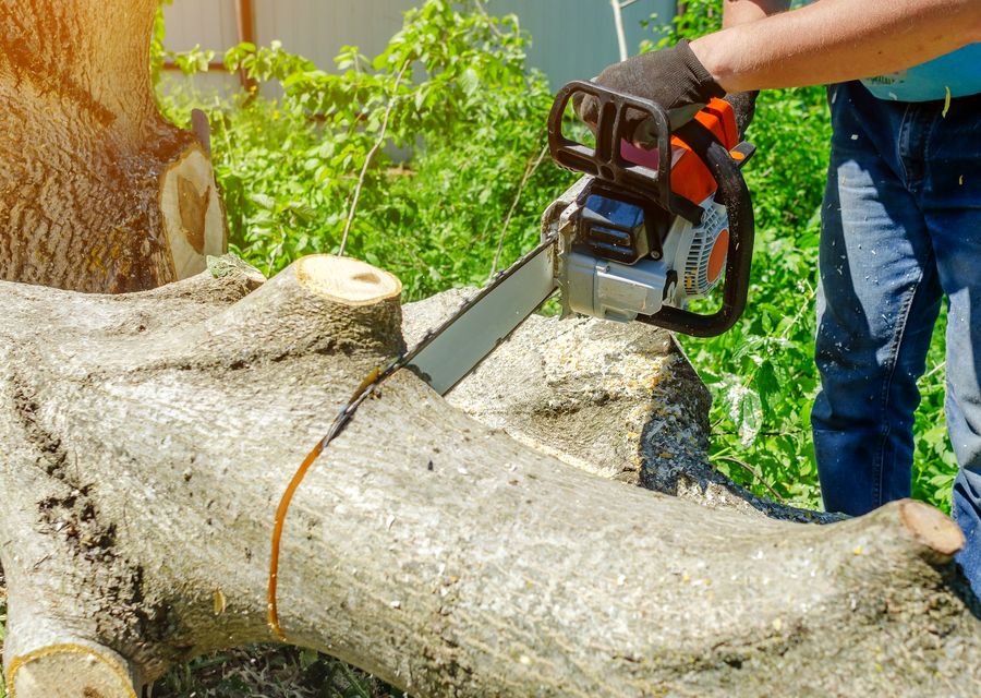 Tree removal work by Tree Cutting & Trimming in Steger, IL
