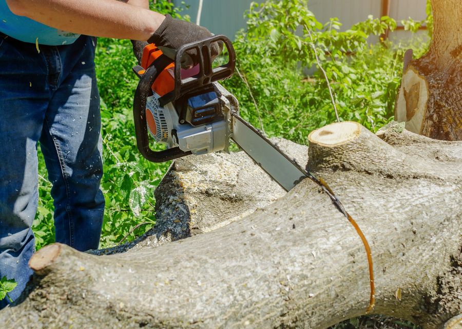 Tree removal work by TD Tree Services Expects LLc in Horseshoe Bay, TX