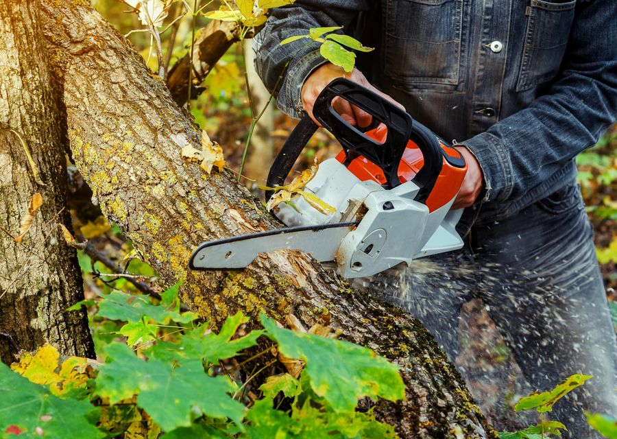 Tree removal work by K & S Tree Care, Inc in Matteson, IL