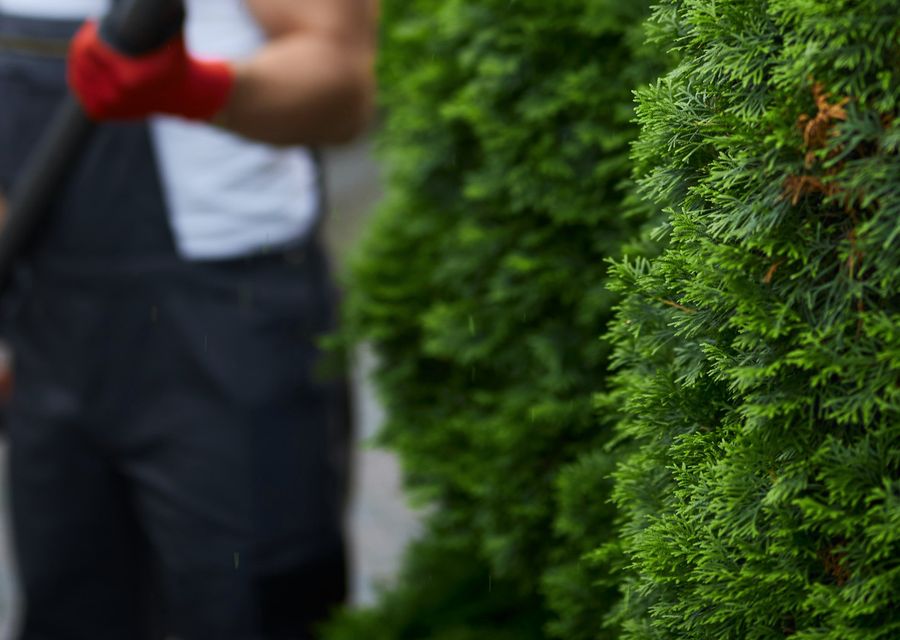 Tree removal work by Green Lawn Tapia services in Georges, PA