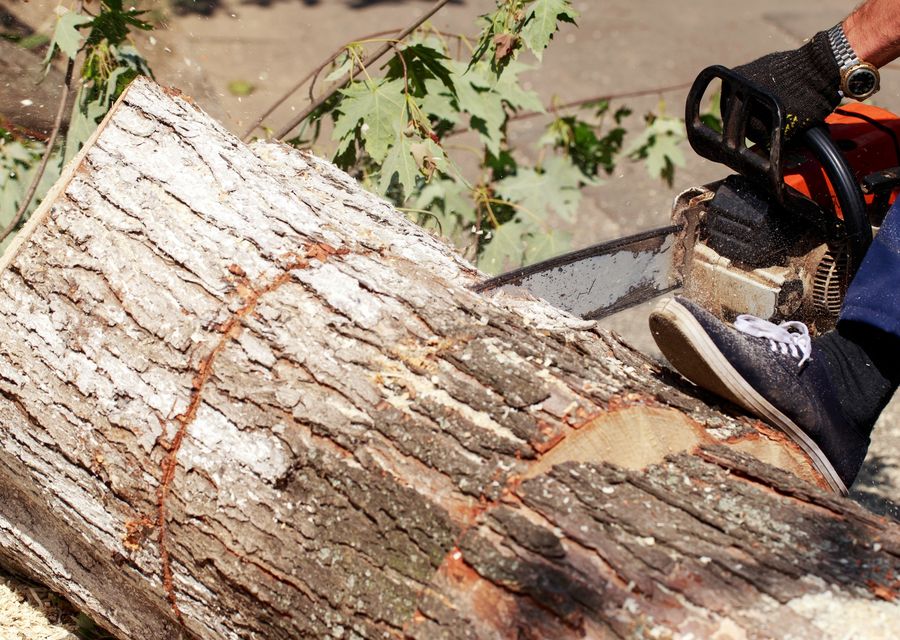 Tree removal work by Hernandez Landscaping & Tree Service in Acworth, GA