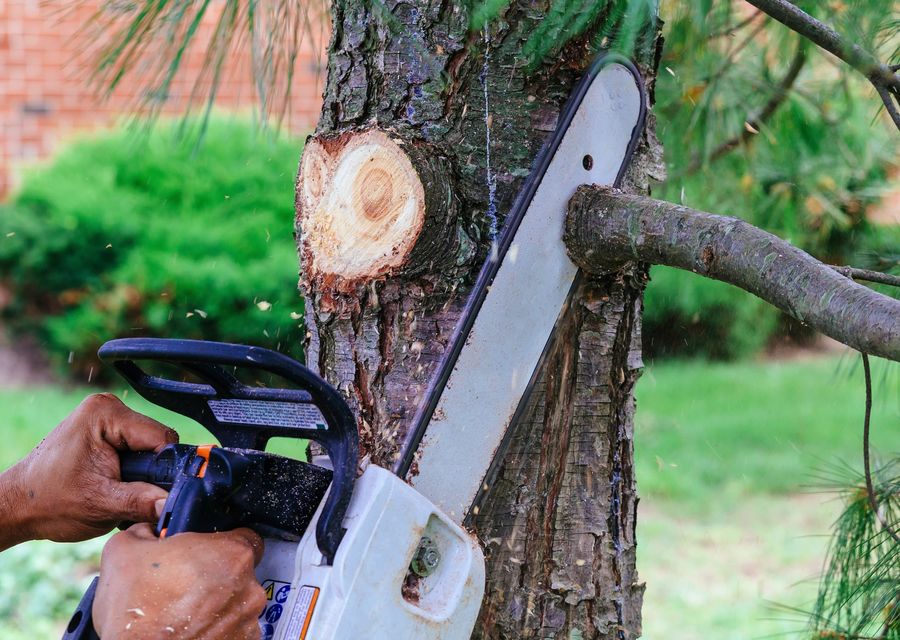 Tree removal work by Hill Tree Expert Company in Norcross, GA