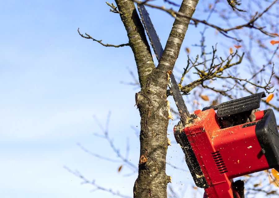 Tree removal work by Green Forest Tree Service Corp. in Mableton, GA