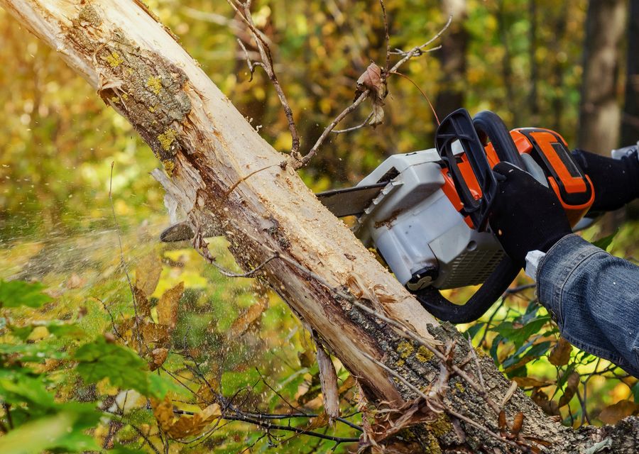 Tree removal work by Jones Tree & Lawn, Inc. in Gallitzin, PA