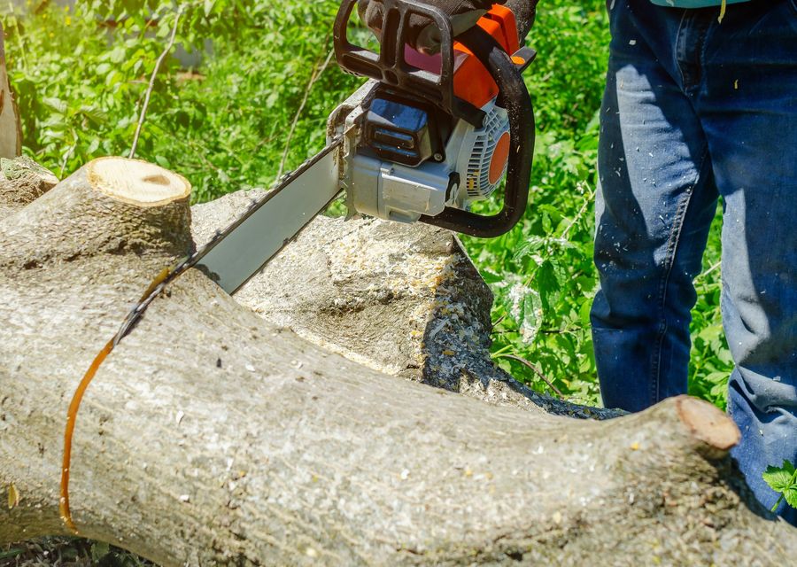Tree removal work by Spider-Man Tree services in Pomaria, SC