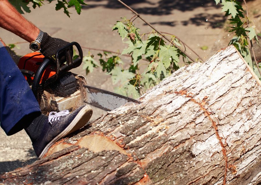 Tree removal work by Acme Tree Service in Somerset, PA