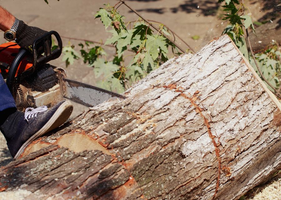 Tree removal work by KD Tree Service in Grayslake, IL
