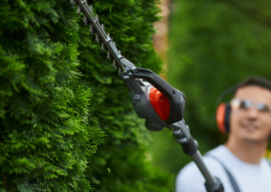 Tree removal work by Tree Tops Tree Service Inc in Olympia Fields, IL
