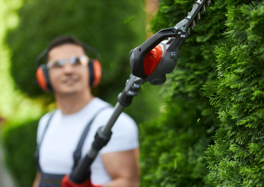 Tree removal work by Affordable Tree Experts LLC in Norco, CA