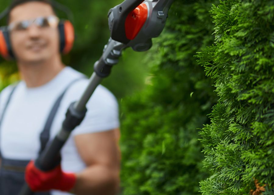 Tree removal work by Tree Removal And Crane Service in Greensburg, PA