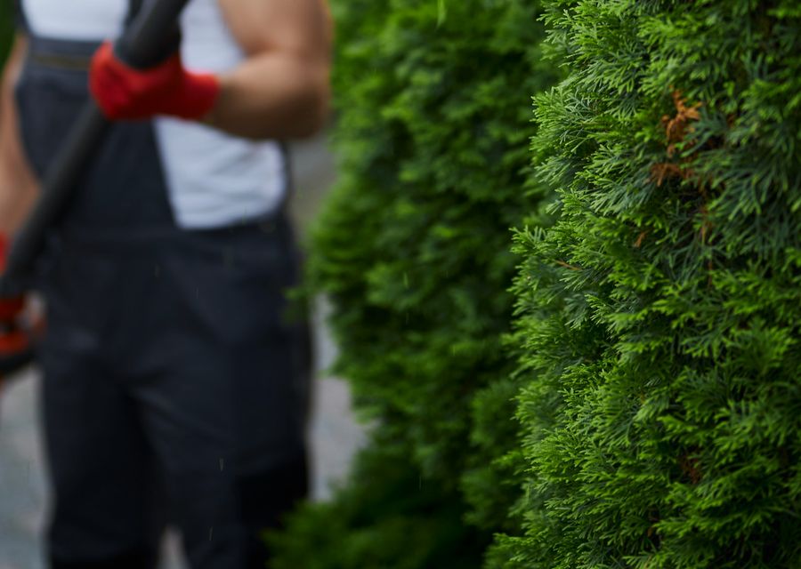 Tree removal work by Rayzor's Edge Tree Service in Hillside, IL