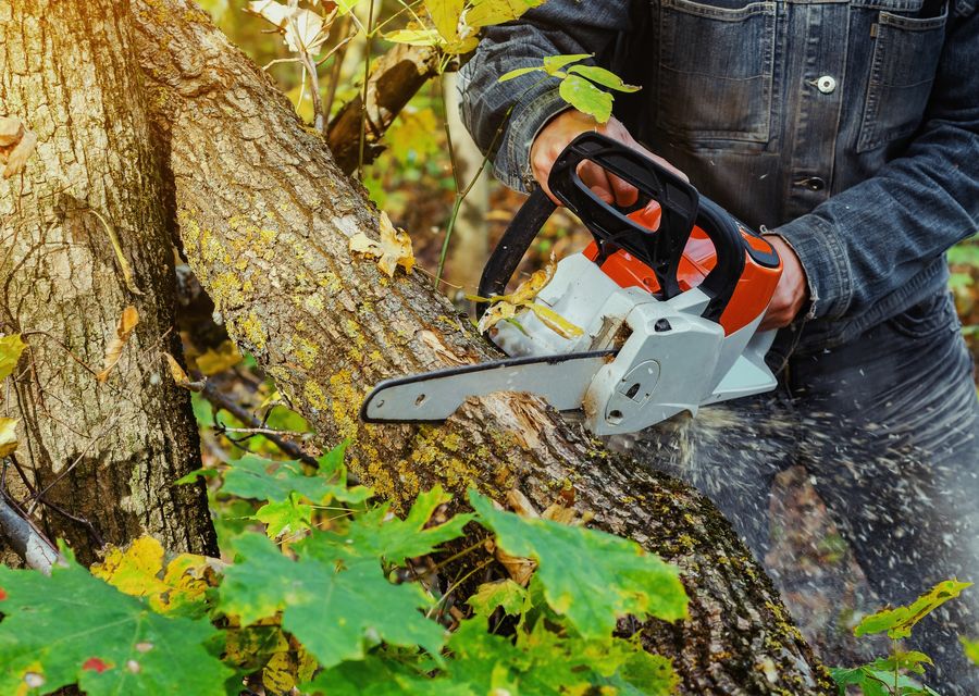 Tree removal work by Yoos Tree Service in East Huntingdon, PA