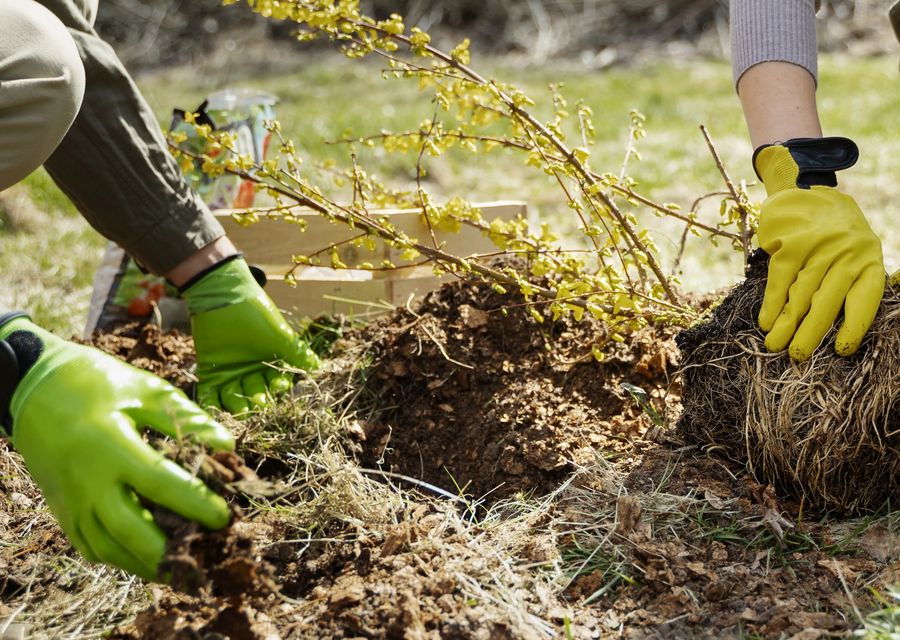 Tree removal work by Dade Pro Tree Service Llc in West Hempfield, PA