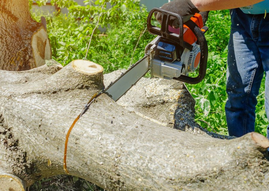 Tree removal work by Galvez Tree Service in Dallas, GA
