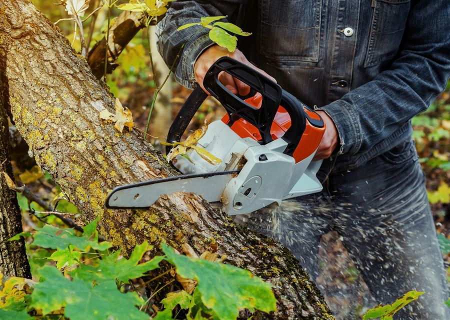 Tree removal work by T & D Tree Service in Menallen, PA