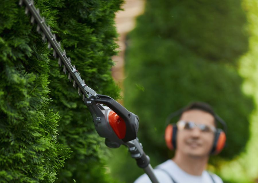 Tree removal work by Big B Tree Service LLC in Lower Merion, PA