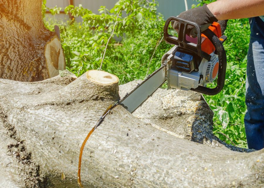 Tree removal work by Advanced Tree Care in Brookfield, IL