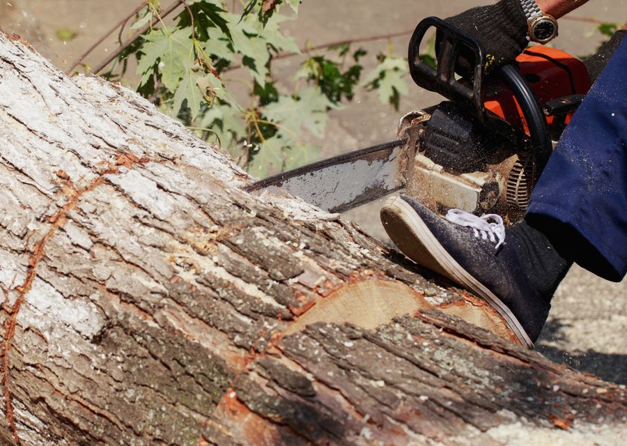 Tree removal work by Jade Tree Service in West Rockhill, PA