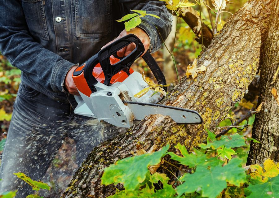 Tree removal work by Landscaping Landscaping in Downers Grove, IL