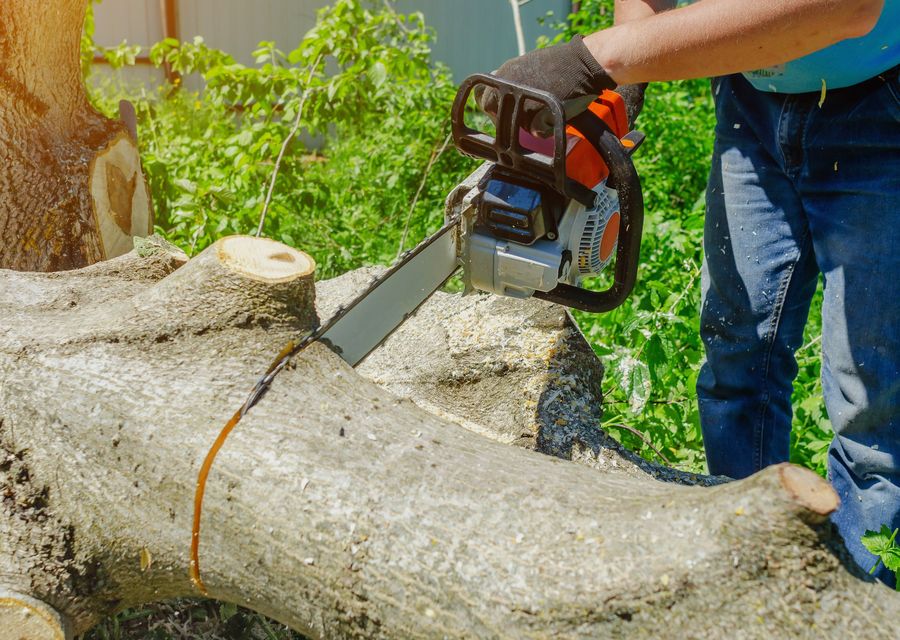 Tree removal work by Elevated Tree Care in Strasburg, PA