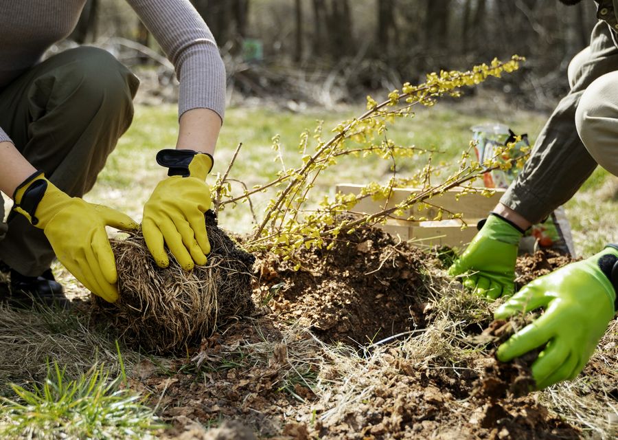 Tree removal work by MGM Tree Service & Landscaping LLC in Yutan, NE