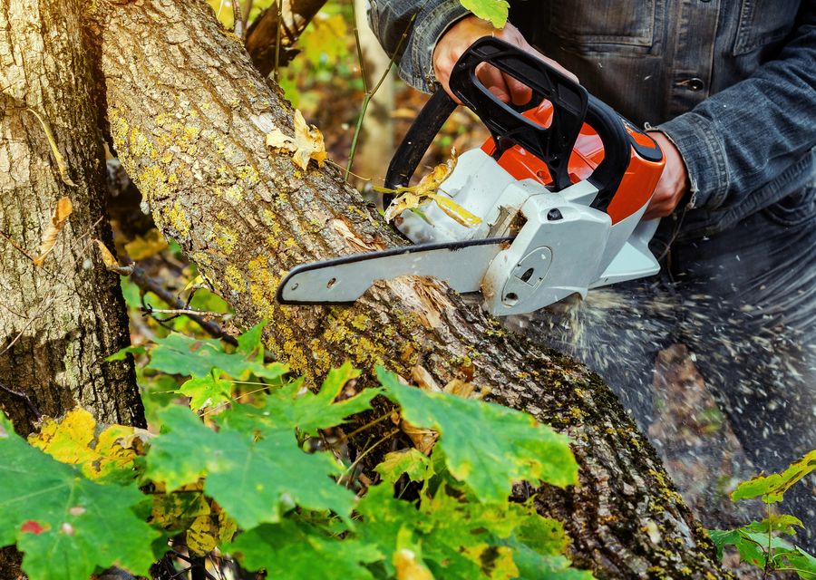Tree removal work by Howie's C & H Tree Service, Inc. in Peachtree Corners, GA